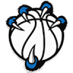 Beast Academy Ticker Logos 100x103