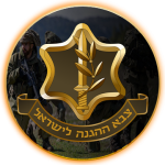 idf 360x370 Trainees and trainers profile picture